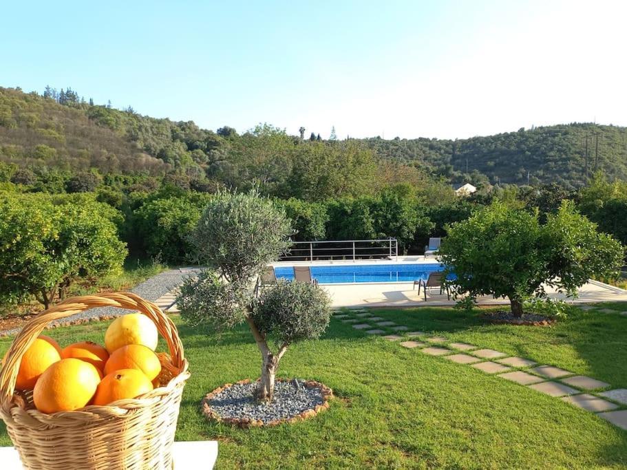 Casa Citrus Limao - Between The Hills & The Ocean Silves Kültér fotó